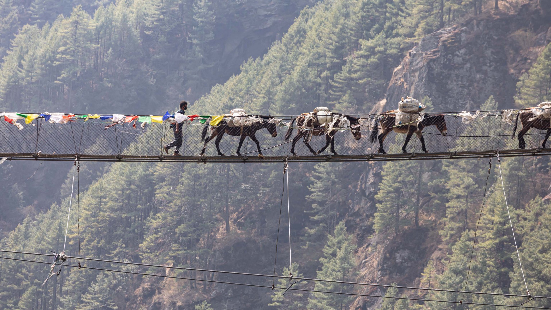 Langtang Valley Trek